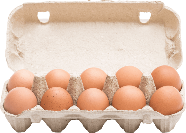 Organic Eggs, 10 count