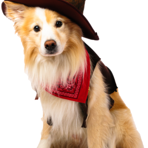 PawsParade Cowboy Costume