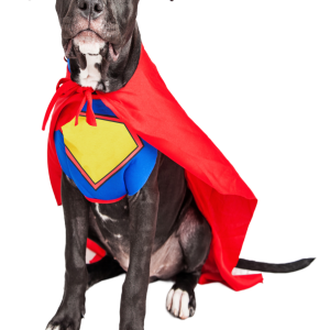 PawsParade Superhero Costume
