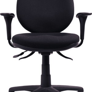 Pearlman Ergonomic Desk Chair