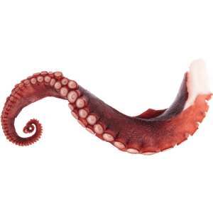 Marinated Octopus (Precooked and sliced)