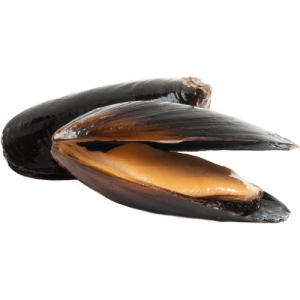 Steamed Black Mussels (in shell, cleaned)
