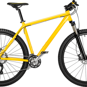 Viverrine XR-75 Mountain Bike
