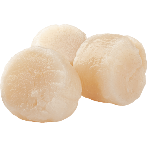 Half Shell Scallops (Frozen, raw)