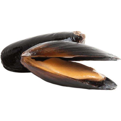 Steamed Black Mussels (in shell, cleaned)