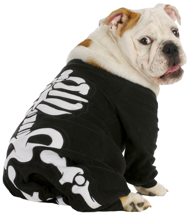 PawsParade Cowboy Costume