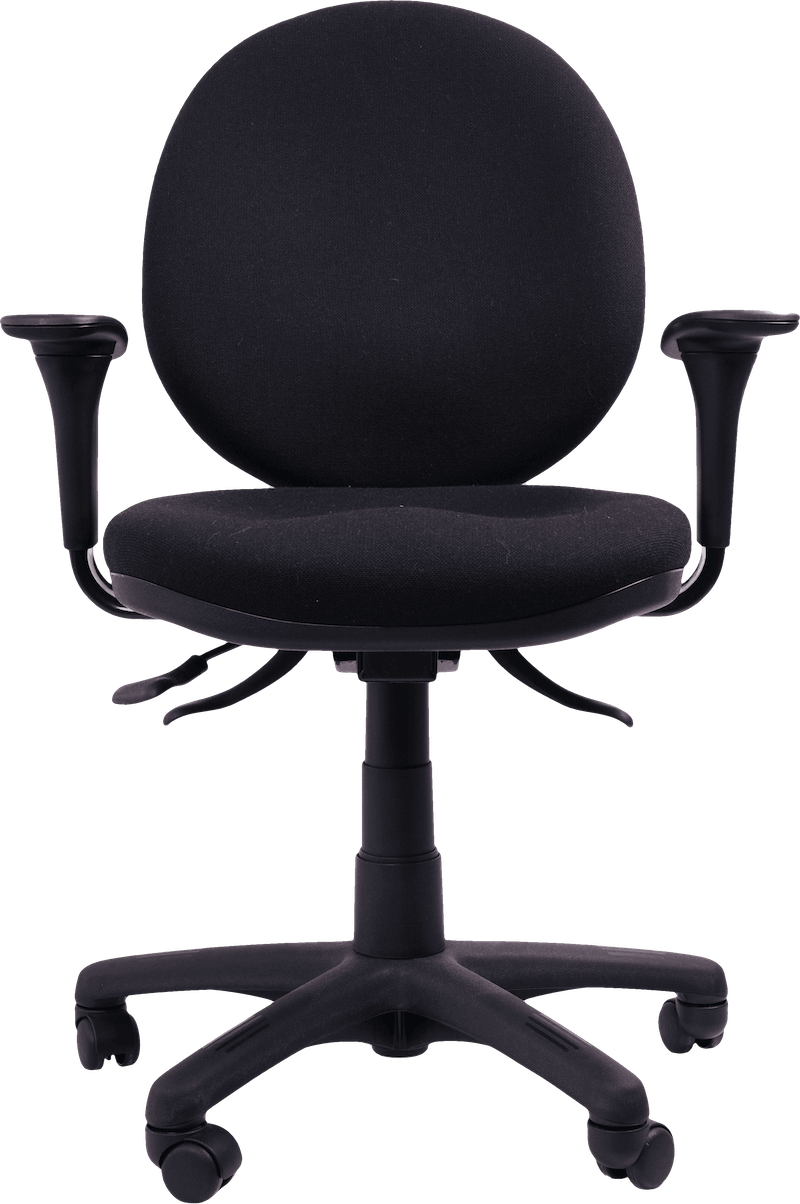 Pearlman Ergonomic Desk Chair