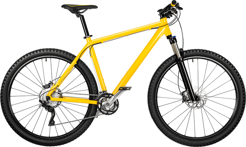 Viverrine XR-75 Mountain Bike