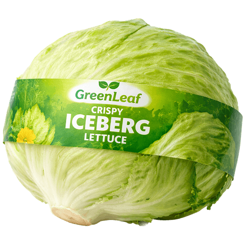 GreenLeaf Iceberg Lettuce