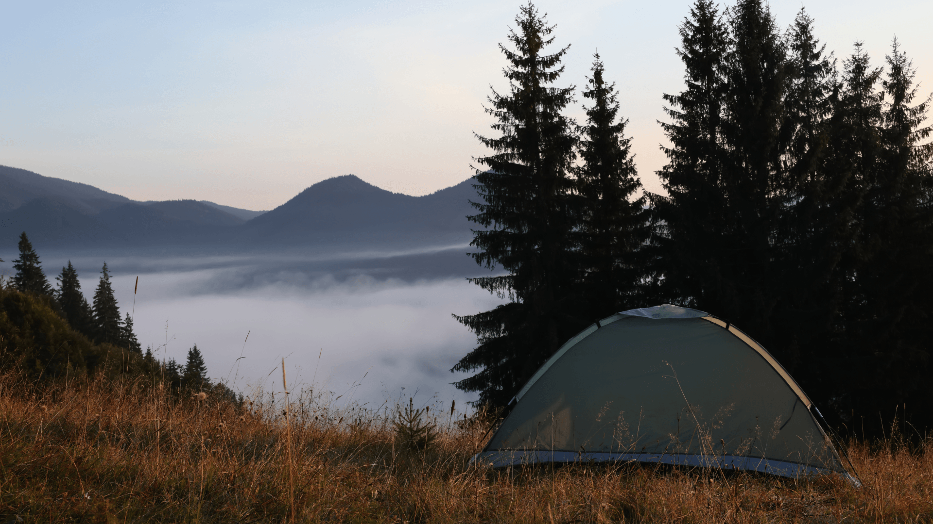 Fjord 4 Tunnel Tent