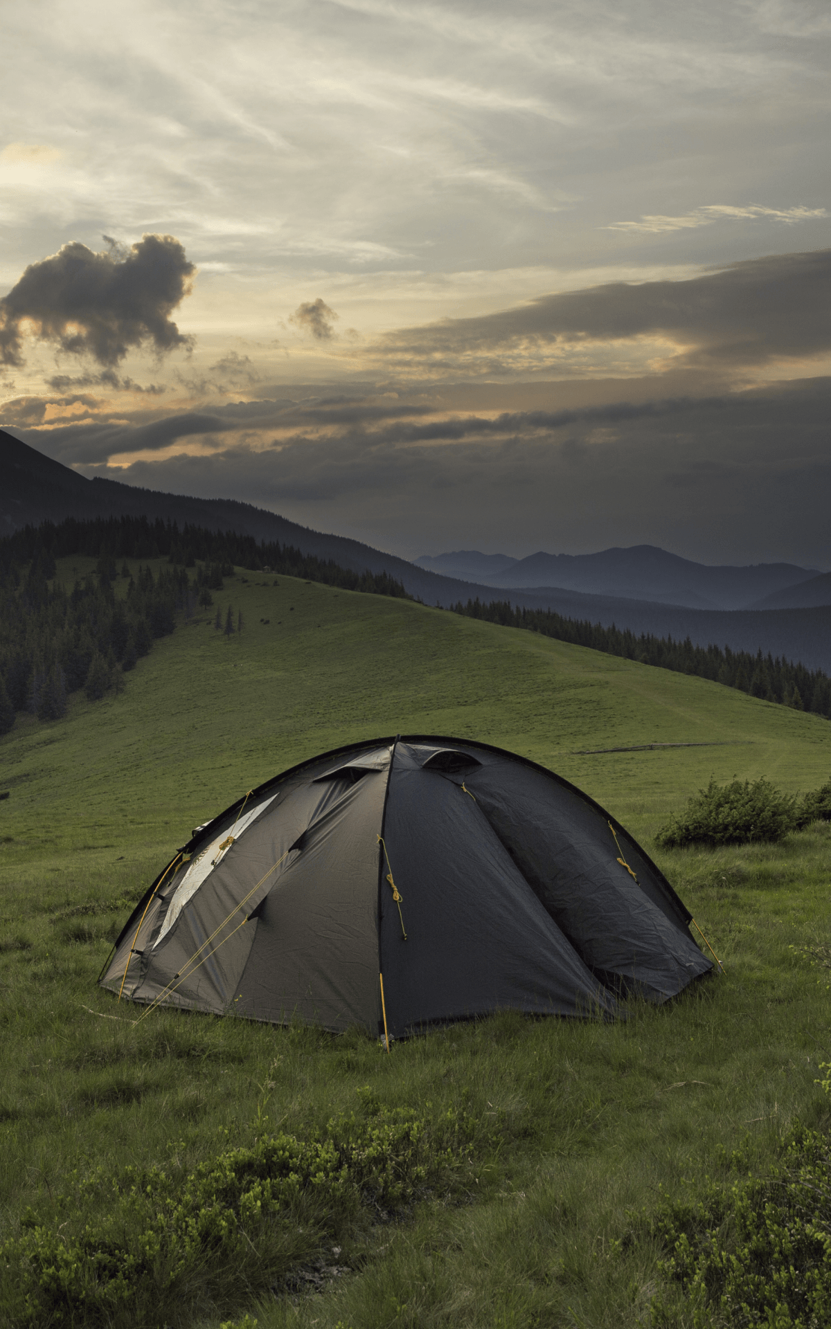 Vidde 3 Dome Tent